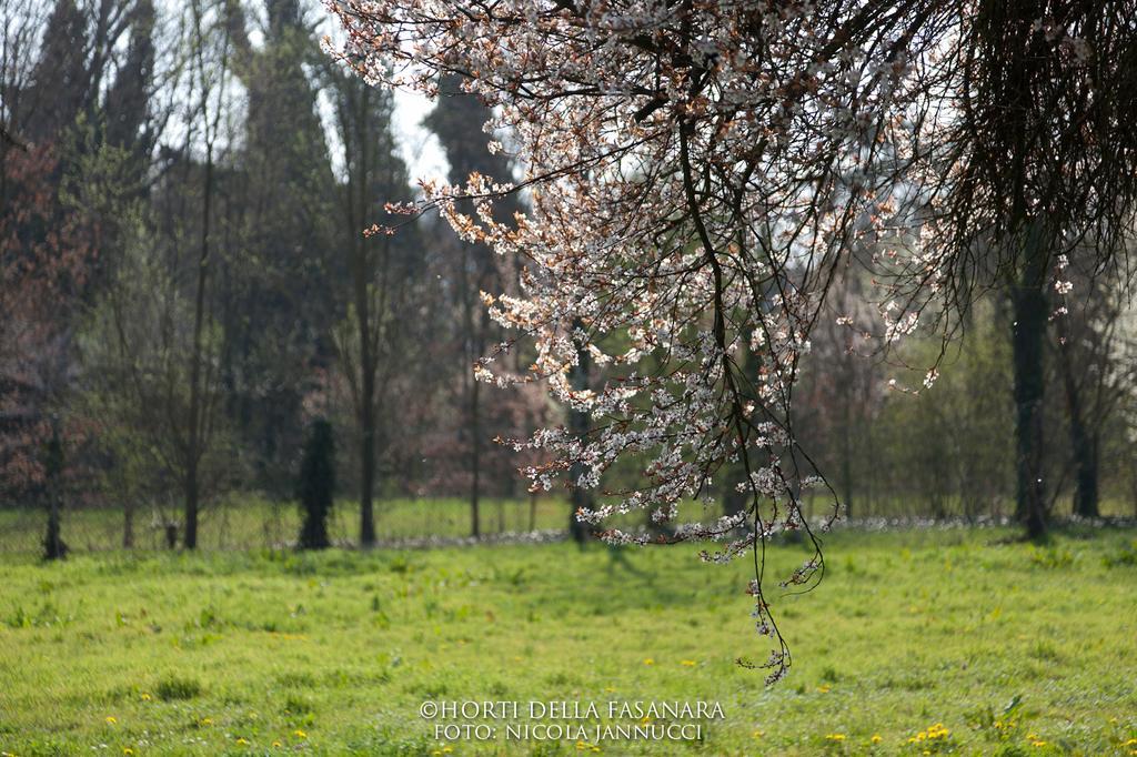 Horti Della Fasanara Vendégház Ferrara Kültér fotó